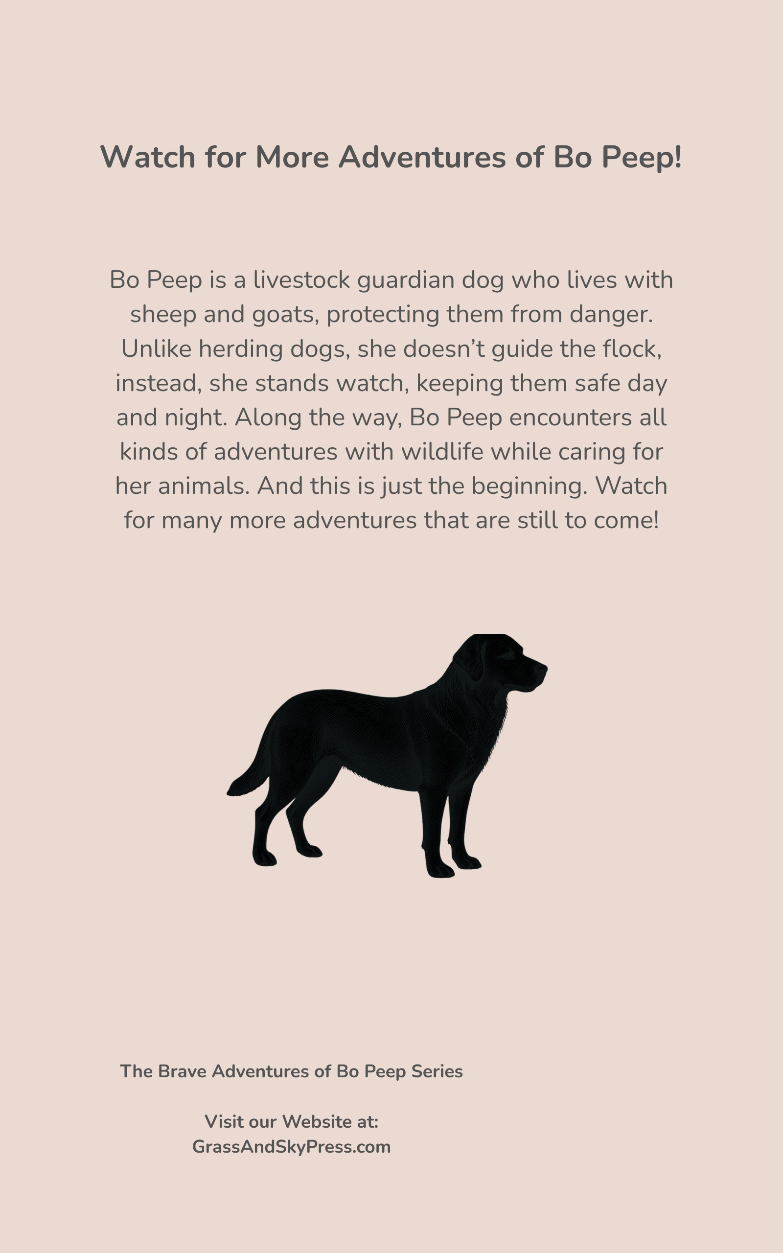 Back cover: The Brave Adventures of Bo Peep and the Night Watch